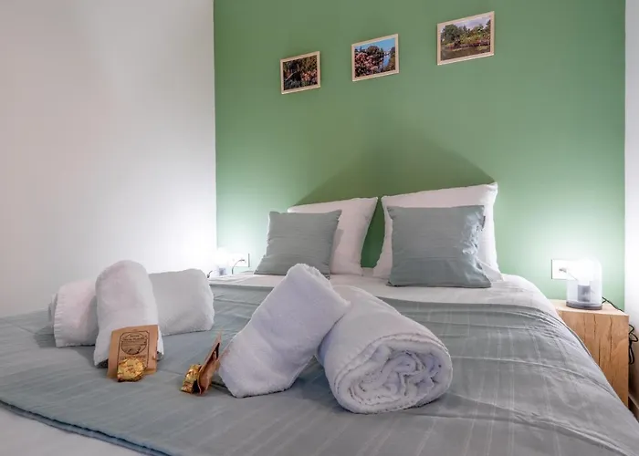 Les Hortillonnages_b&b Inn_centre Ville_terrasse_wifi_netflix 아미앵